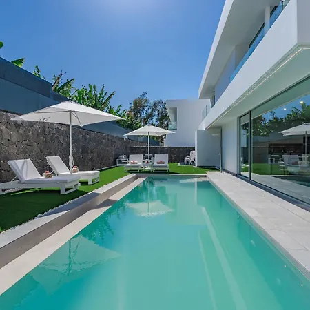 Estándar 2 - Casangular By Upper